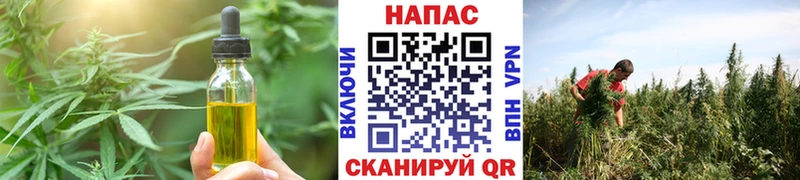 Canna-Cookies конопля  дарнет шоп  площадка формула  Фурманов 