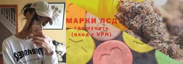 прущий лед Алзамай