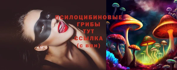 прущий лед Алзамай