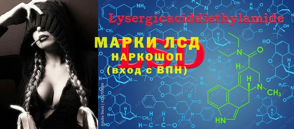 прущий лед Алзамай