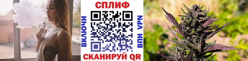 Канабис семена  Фурманов 